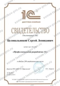 Скан документа «Профессиональный разработчик 1С»